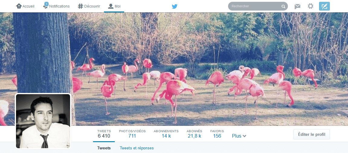 twitter marketing