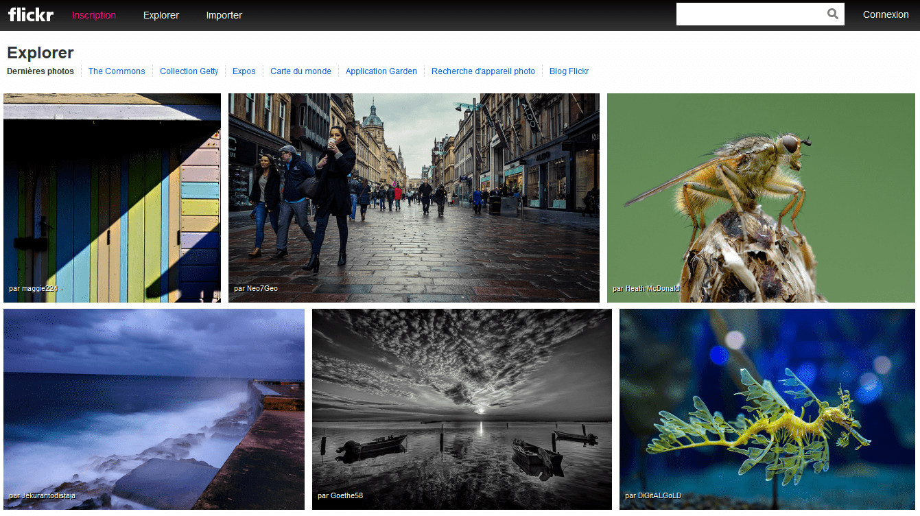 flickr