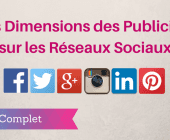 dimensions publicités réseaux sociaux