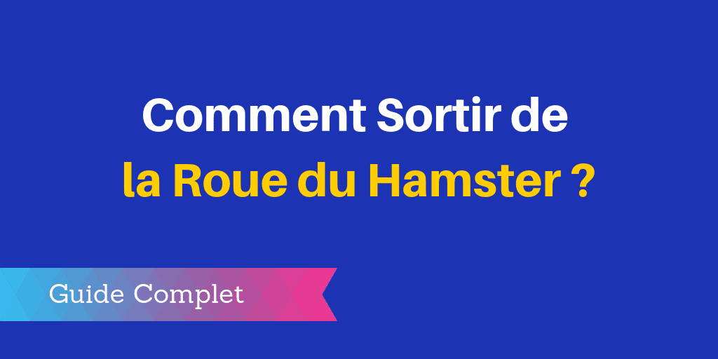 roue hamster